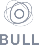 Bull